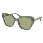 Sunglasses Swarovski SK 6016 (104382)